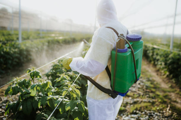 Outdoor Pest Control in Riverside, IA